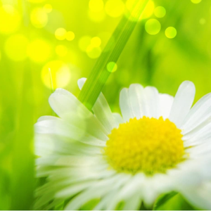 裸体怀孕㊙️无遮挡
