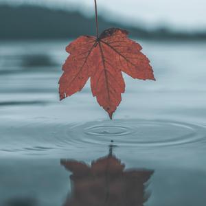 裸体怀孕㊙️无遮挡
